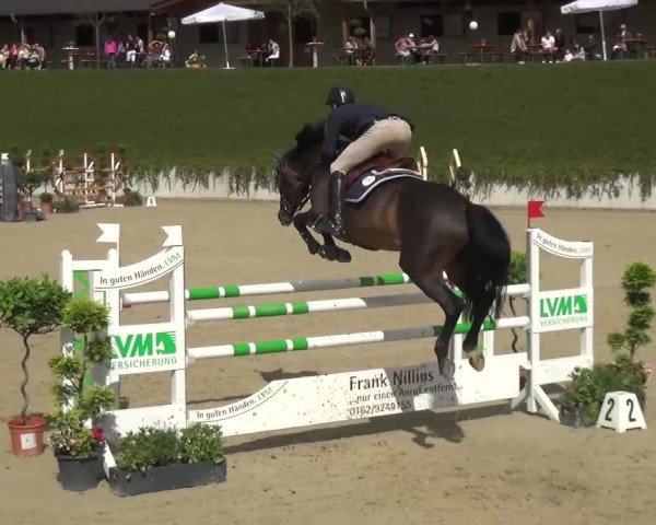 Reitturnier Lohmar-Halberg 2016