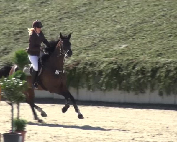 Reitturnier Lohmar-Halberg 2016