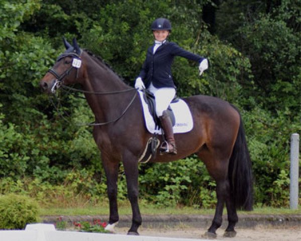 dressage horse High-Fidelity 3 (Westphalian, 2007, from Hofrat)