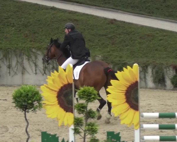 Reitturnier Lohmar-Halberg 2016