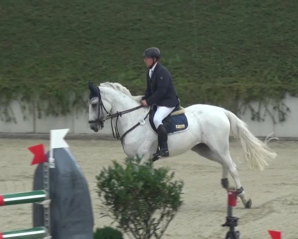 Reitturnier Lohmar-Halberg 2016
