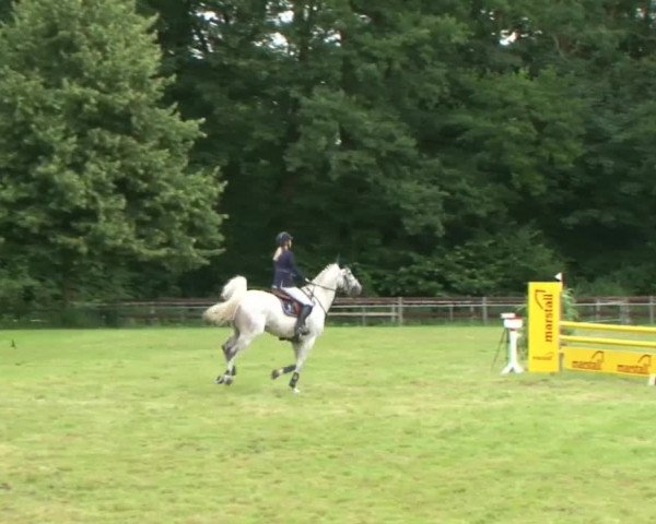 Reitturnier Hamburg-Friedrichshulde 2016