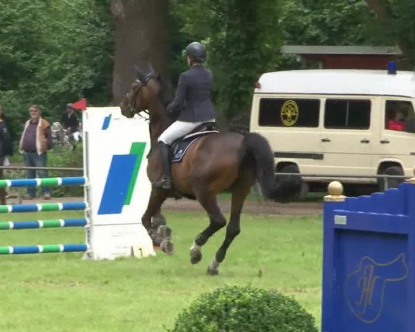 Reitturnier Hamburg-Friedrichshulde 2016
