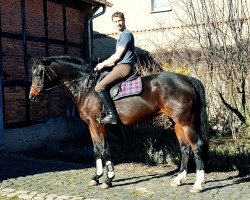 Springpferd Lanconia (Deutsches Sportpferd, 2013, von Lancoon)