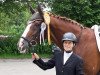 dressage horse Lauries Fox (Rhinelander, 2003, from Lauries Crusador xx)