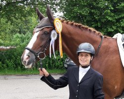 dressage horse Lauries Fox (Rhinelander, 2003, from Lauries Crusador xx)