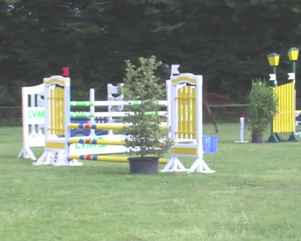 Reitturnier Felmerholz 2016