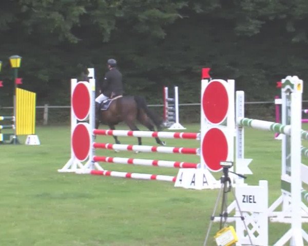 Reitturnier Felmerholz 2016