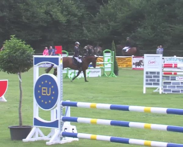 Reitturnier Felmerholz 2016