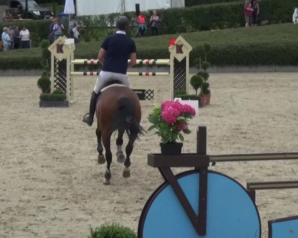 Reitturnier Lohmar-Halberg 2016