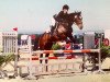 jumper Copacabana W (Spanish Sport Horse, 2011, from Jorris)