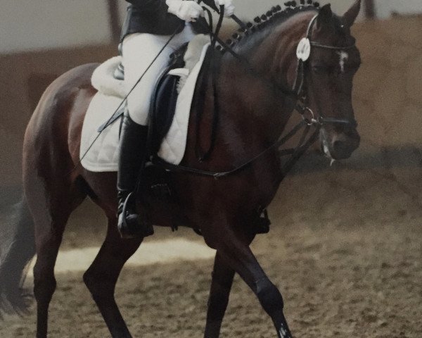 broodmare Mona 540 (German Riding Pony, 1995, from Mentos)
