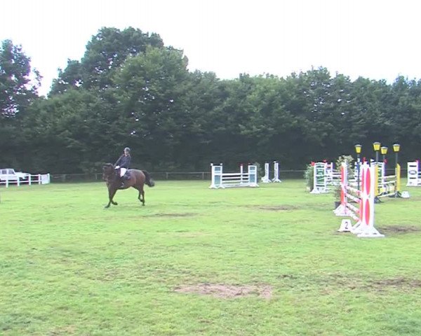 Reitturnier Felmerholz 2016