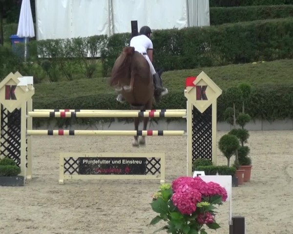 Reitturnier Lohmar-Halberg 2016