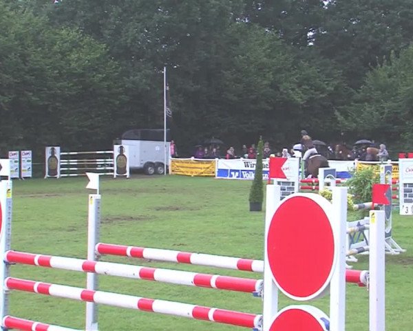 Reitturnier Felmerholz 2016