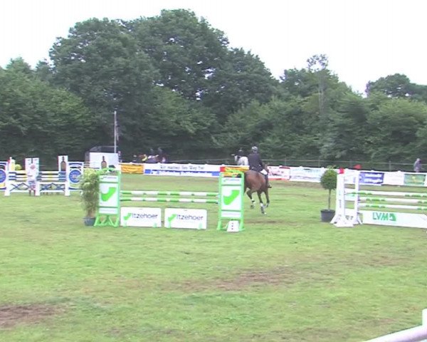 Reitturnier Felmerholz 2016