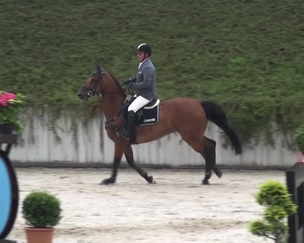 Reitturnier Lohmar-Halberg 2016
