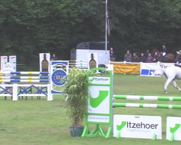 Reitturnier Felmerholz 2016