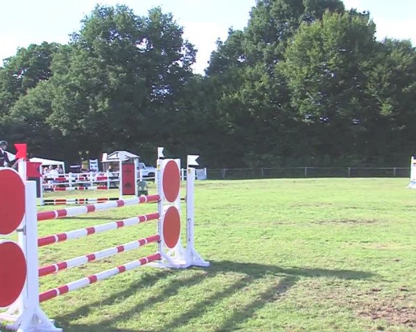 Reitturnier Felmerholz 2016