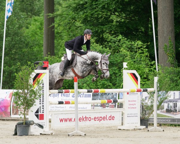 Zuchtstute Maiden Peress (Deutsches Sportpferd, 2012, von Quick Amour GE)