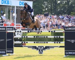 Springpferd Strides Hilanasterne (Belgisches Warmblut, 2007, von Montender)