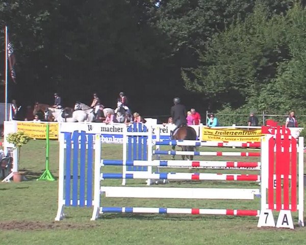 Reitturnier Felmerholz 2016