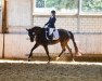 dressage horse Sir Noir 3 (Hanoverian, 2015, from San Amour I)