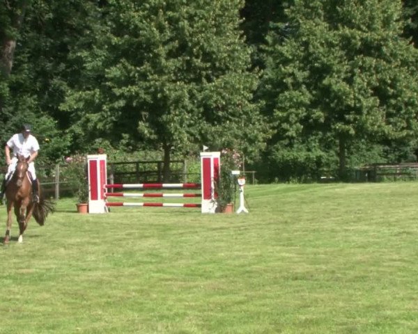 Reitturnier Hamburg-Friedrichshulde 2016