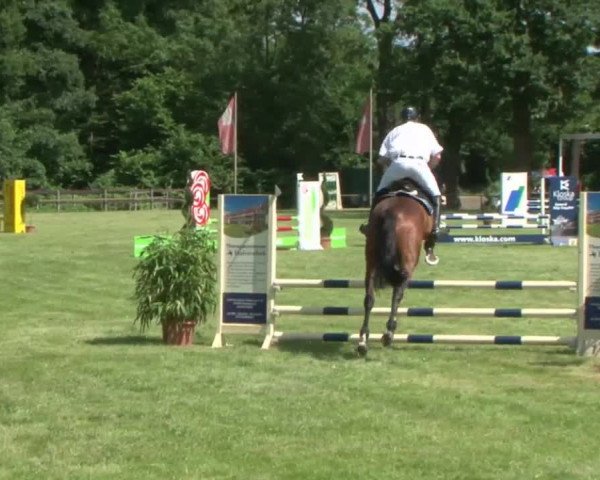 Reitturnier Hamburg-Friedrichshulde 2016