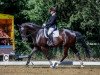 dressage horse Beethoven 75 (Hanoverian, 2011, from Benetton Dream FRH 1301)