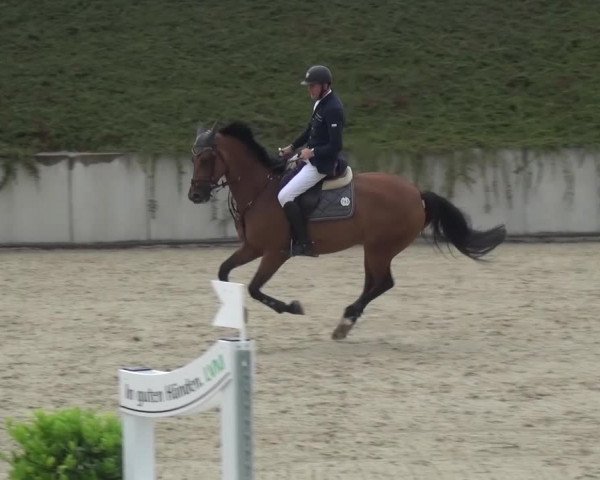 Reitturnier Lohmar-Halberg 2016