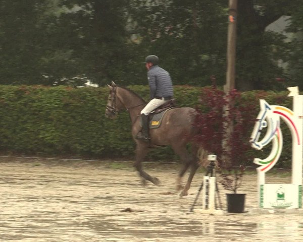 Reitturnier Olfen-Vinnum 2016