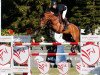 jumper Colestina H (German Sport Horse, 2010, from Colestus)