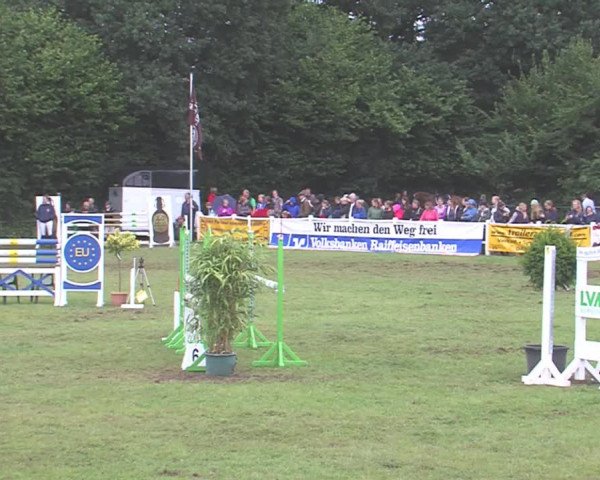 Reitturnier Felmerholz 2016