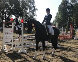 dressage horse Pramwaldhof's Bayala (Oldenburg, 2015, from Barroso)