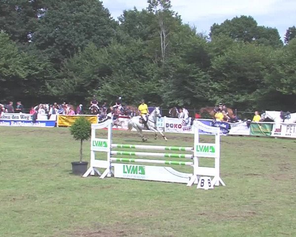 Reitturnier Felmerholz 2016