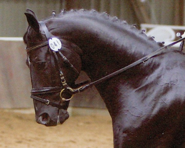 horse Ati Mavros (Latvian Warmblood, 1993, from Alamo)