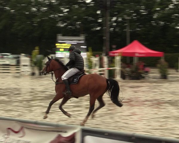 Reitturnier Olfen-Vinnum 2016