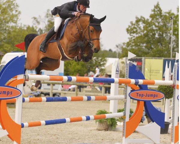 Deckhengst Floyd van Schore (Belgium Sporthorse, 2011, von Indoctro)