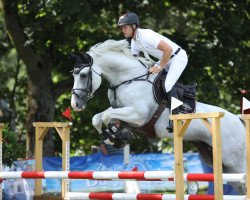 jumper Corfino Burme (Hanoverian, 2011, from Cornado NRW)