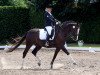 dressage horse Sir Doyodoni (Oldenburg, 2005, from Sir Donnerhall I)