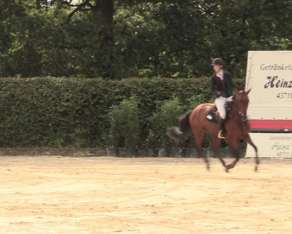Reitturnier Olfen-Vinnum 2016