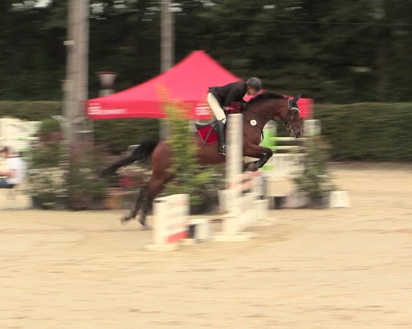 Reitturnier Olfen-Vinnum 2016