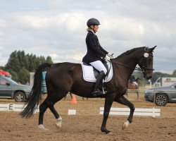 dressage horse Faissah (Oldenburg, 2011, from Fackeltanz Old)