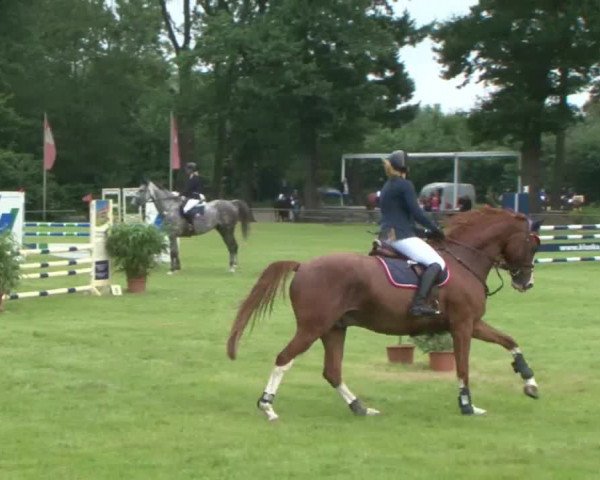 Reitturnier Hamburg-Friedrichshulde 2016