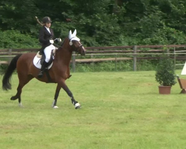 Reitturnier Hamburg-Friedrichshulde 2016