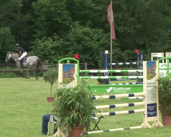 Reitturnier Hamburg-Friedrichshulde 2016