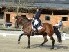 dressage horse Wega (Hanoverian, 2001, from Wolkenstein II)