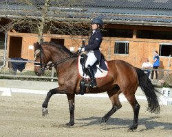 dressage horse Wega (Hanoverian, 2001, from Wolkenstein II)