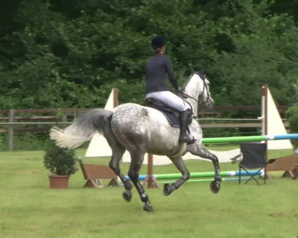 Reitturnier Hamburg-Friedrichshulde 2016